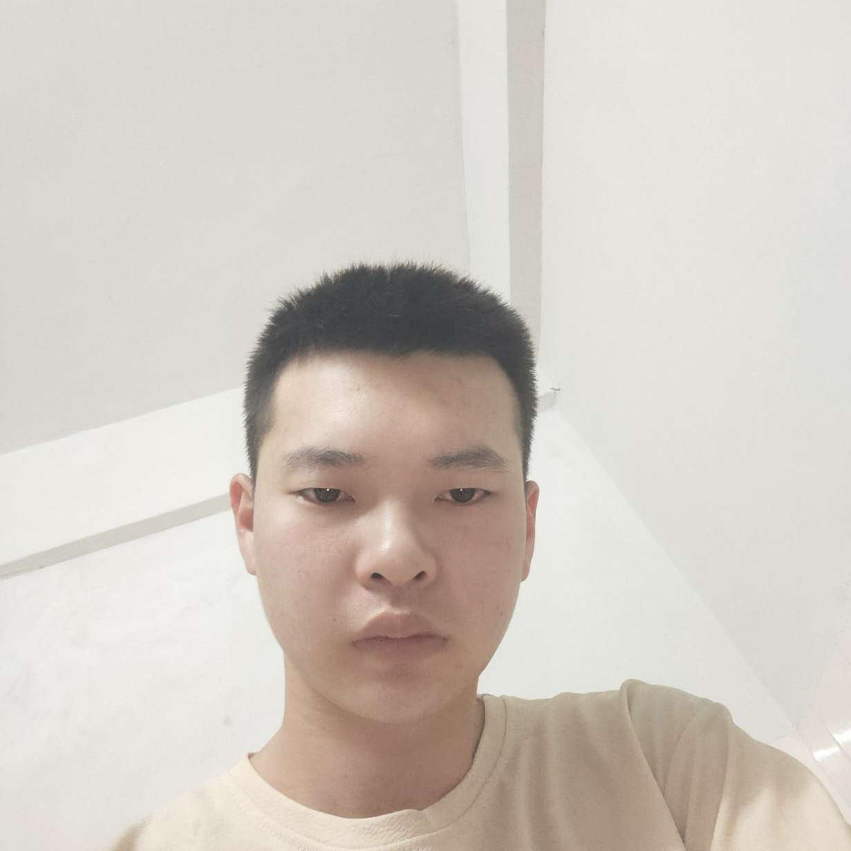 蛋炒饭的照片