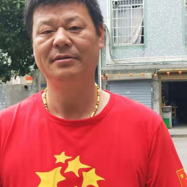 大树安详的照片