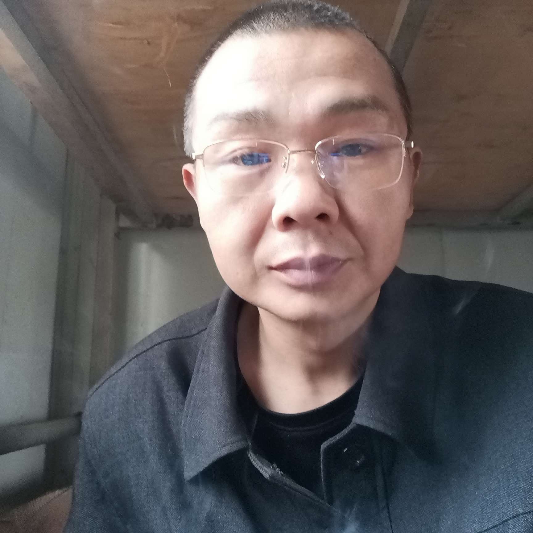 1辈子旳拾忆黄蜂的照片