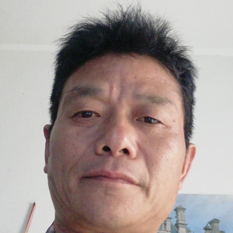 龙猫漫步危机的照片