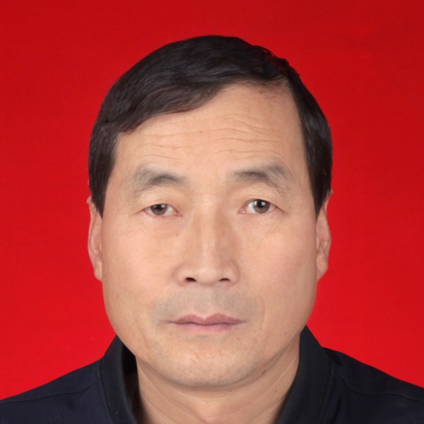 矫情向橘子的照片