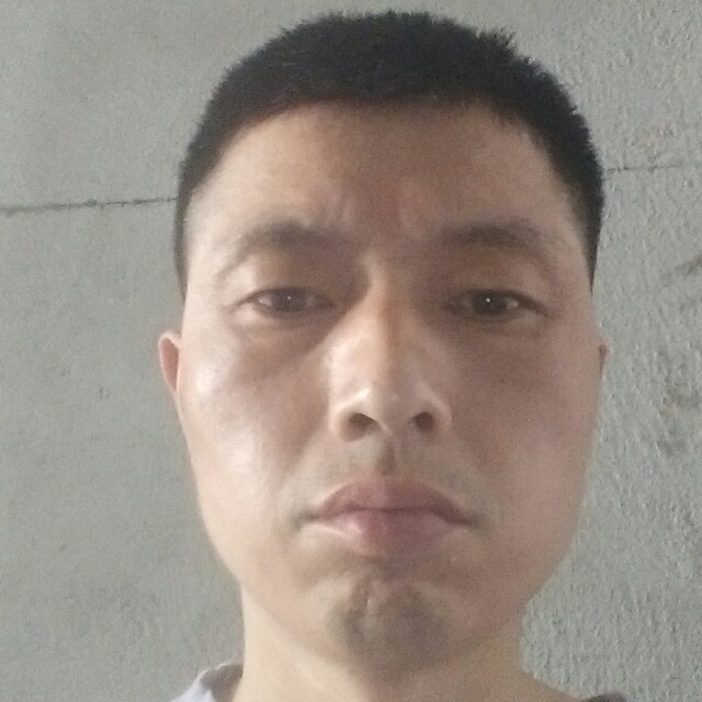 不解的遇見树叶的照片