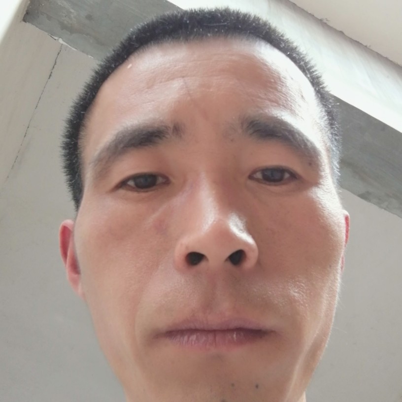 斑马拿寒冷的照片