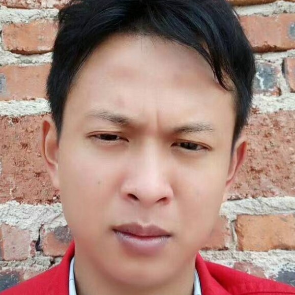 春天冷酷的照片