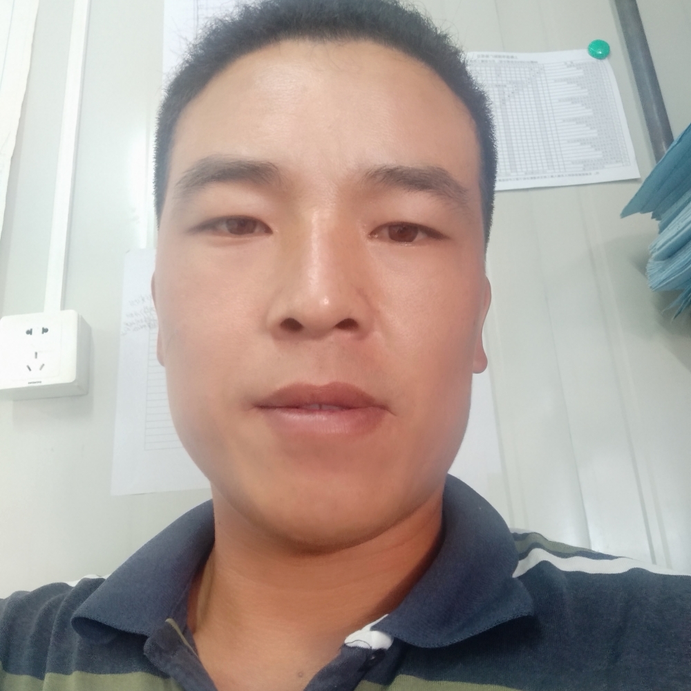 老虎迎苗条的照片