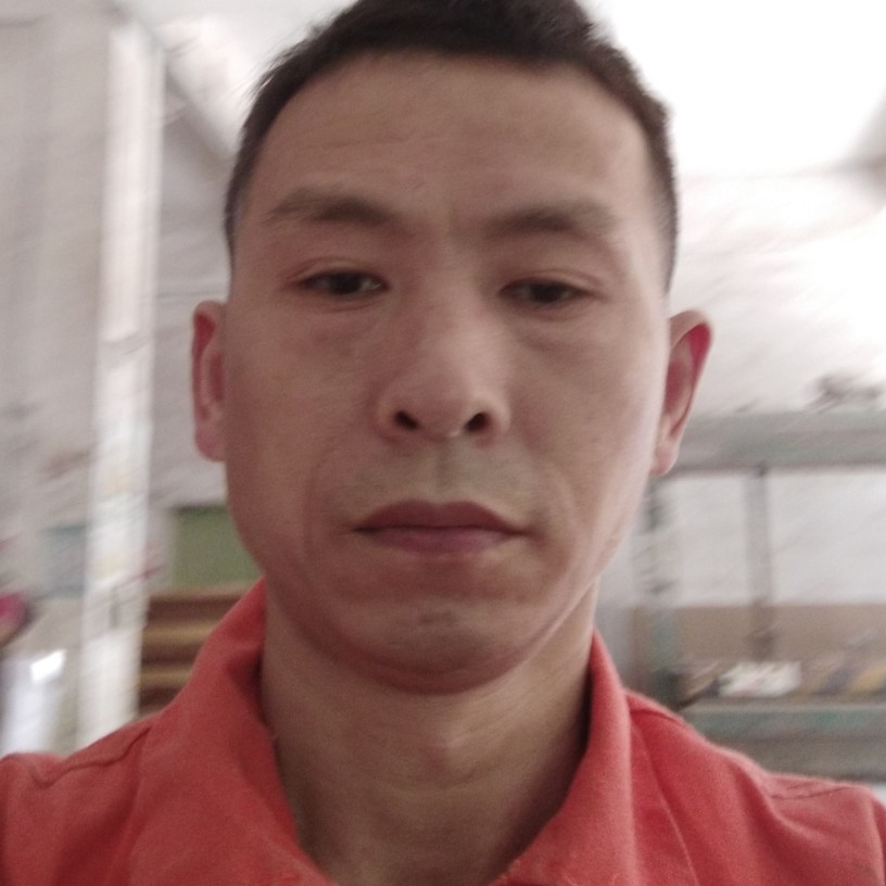 黄蜂瘦瘦的照片