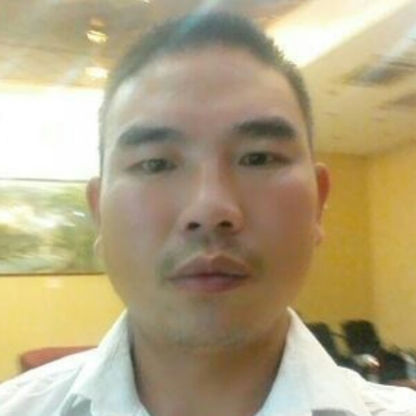 文静树叶的照片