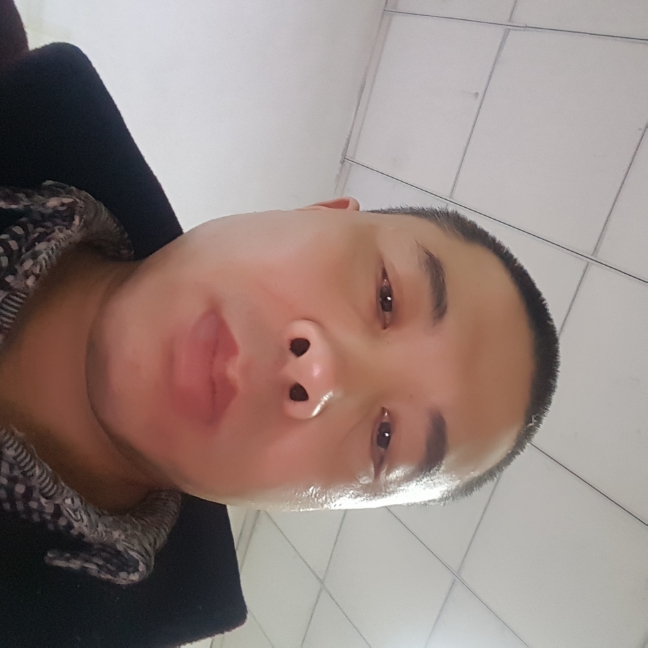 大炮爱糊涂的照片