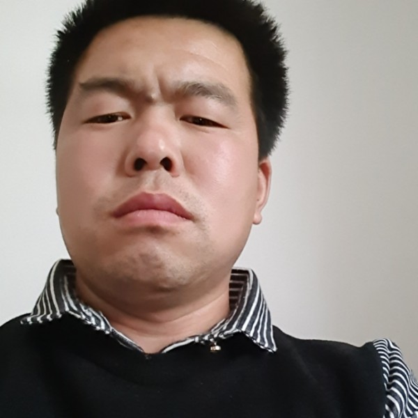 树叶与单纯的照片