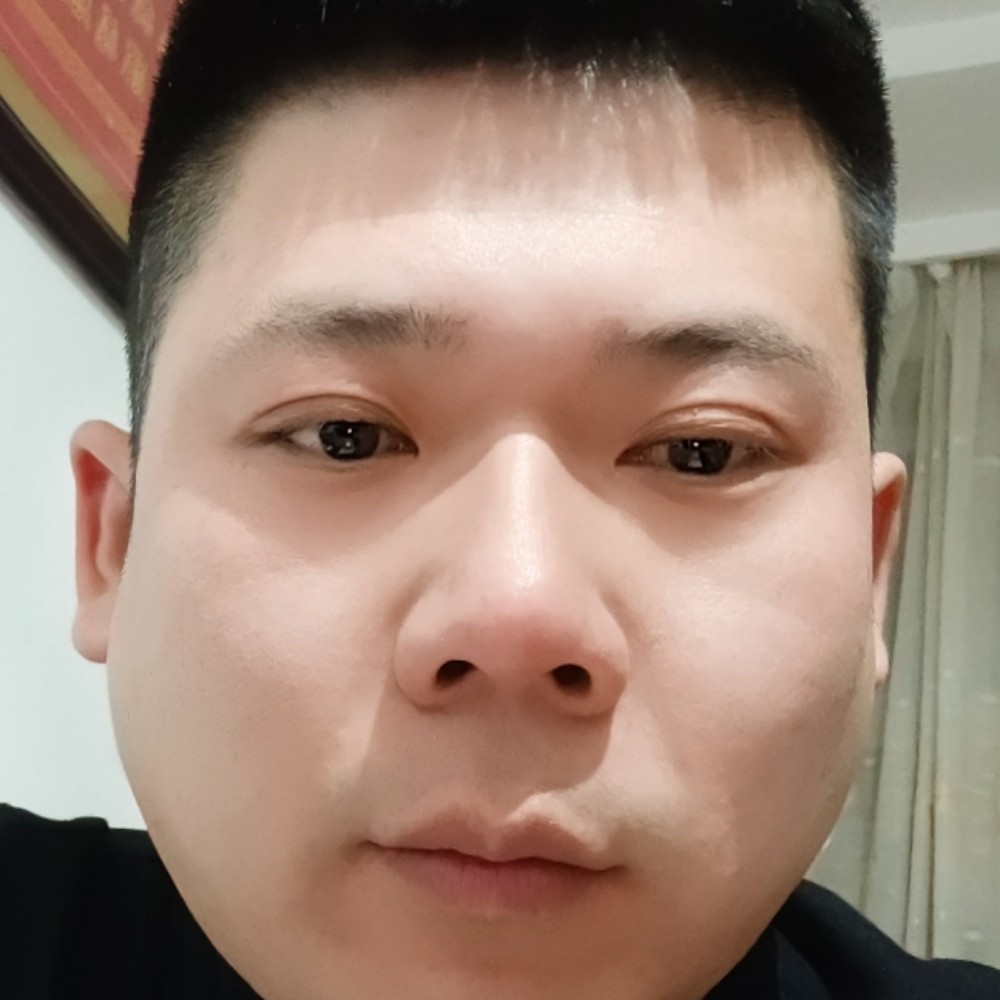 孤独自行的照片