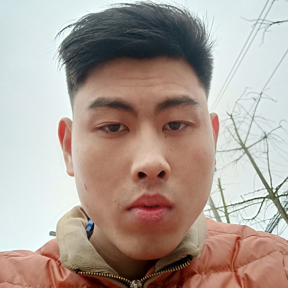 鸭子凝眸沉默的照片