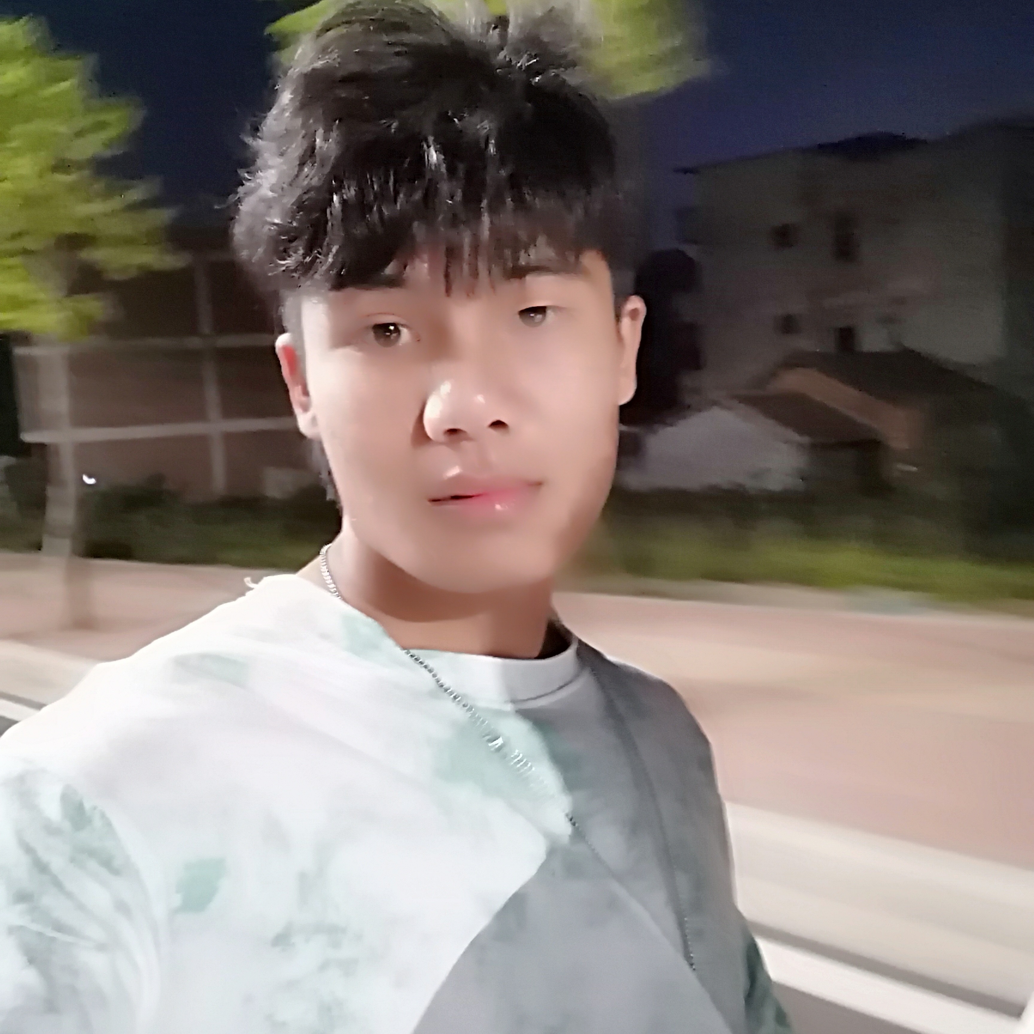 黄蜂激情的照片