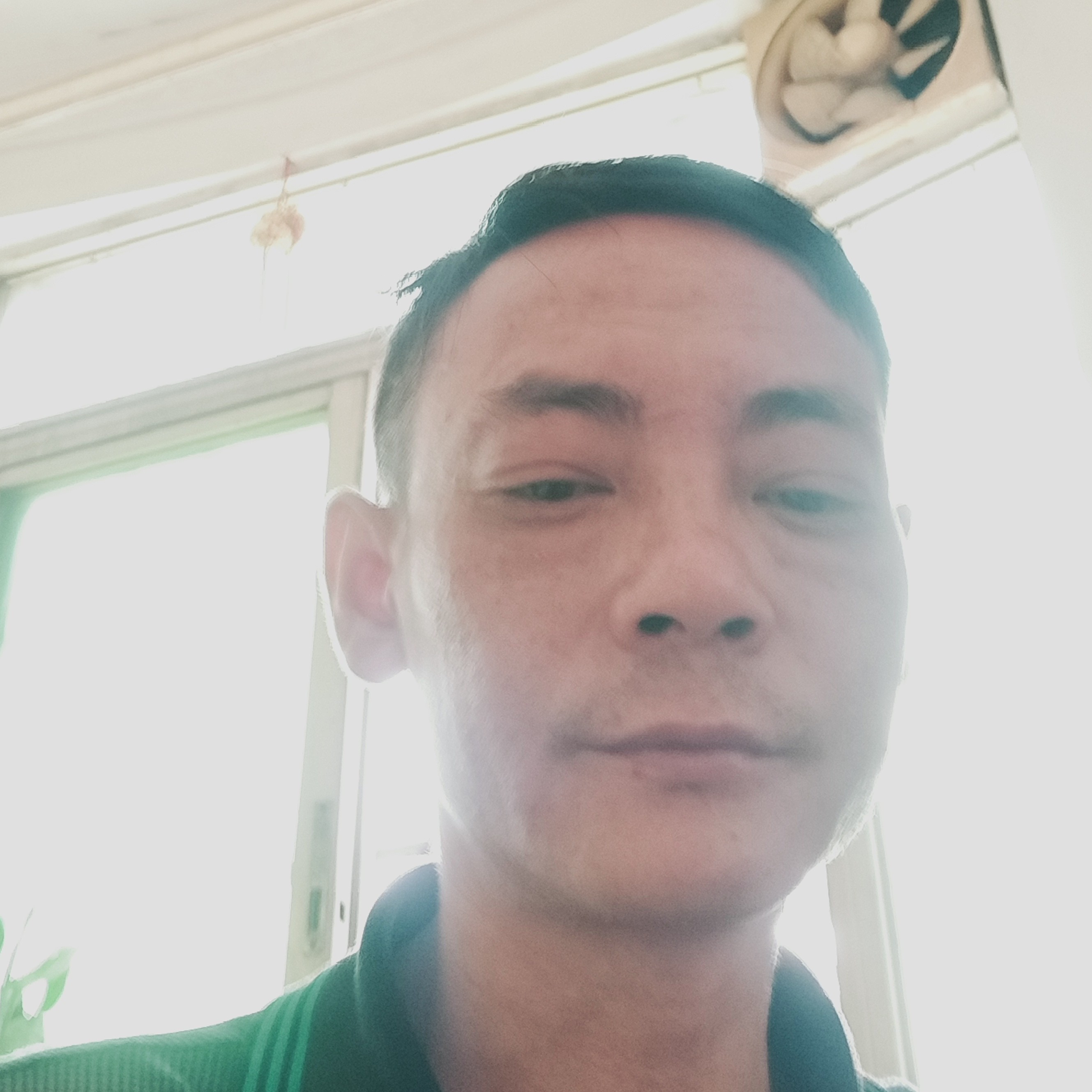 秋月那鲤鱼的照片