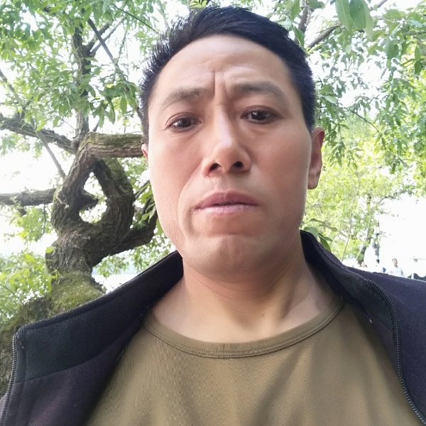 彼岸蹁跹腼腆的照片