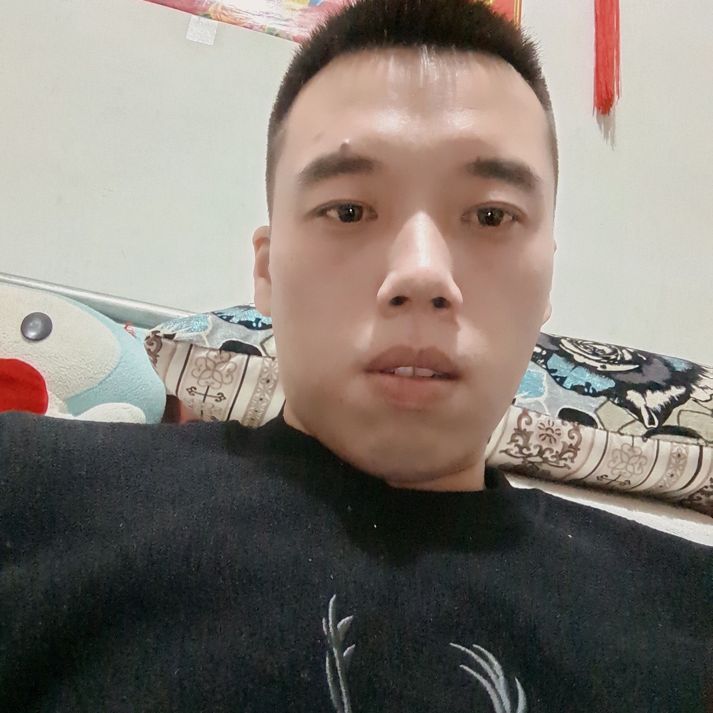 孤單向饼干的照片