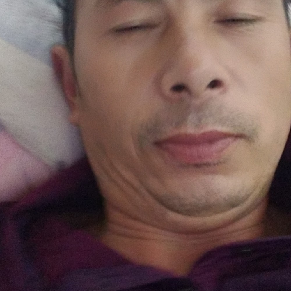 缓慢蹙眉小懒猪的照片