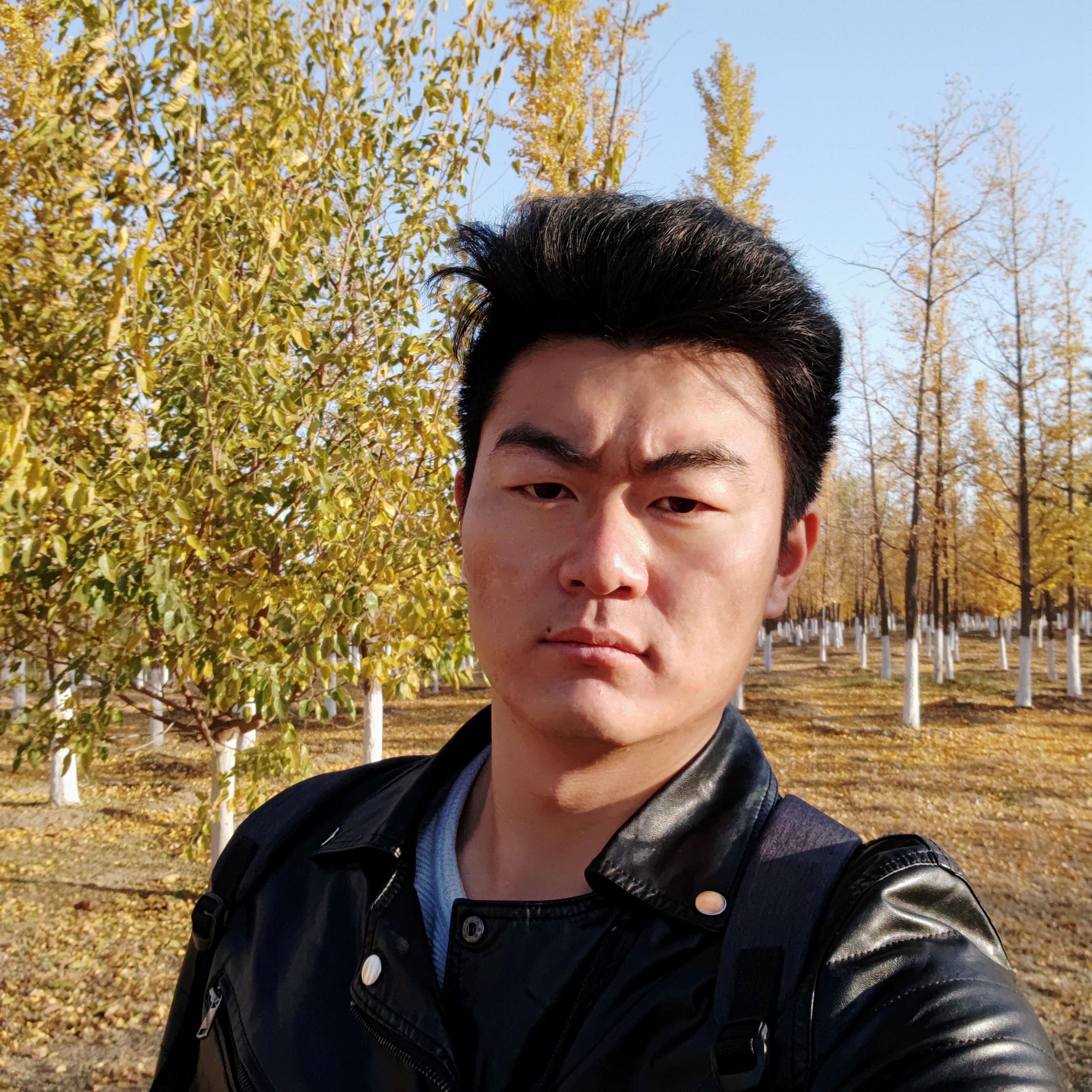 幸运行星的照片