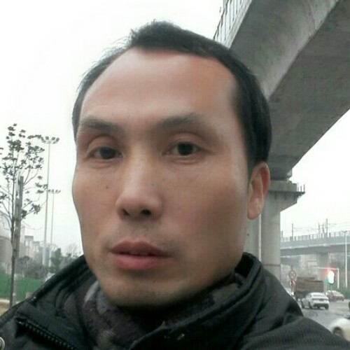 海上的风景的照片