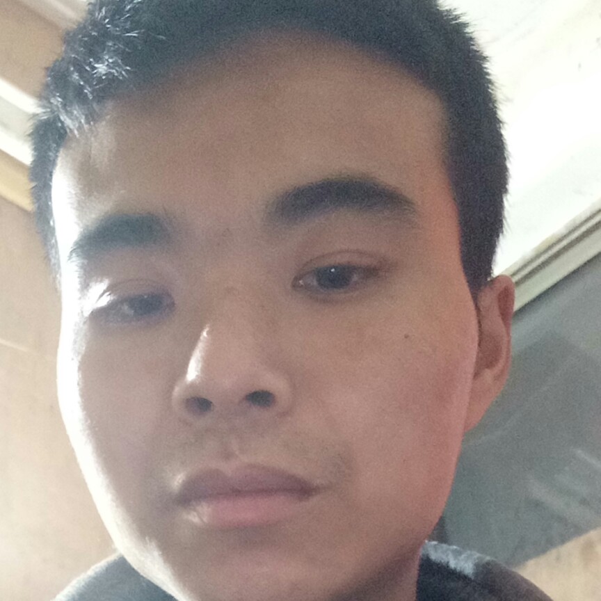 俭朴苦恋蚂蚁的照片