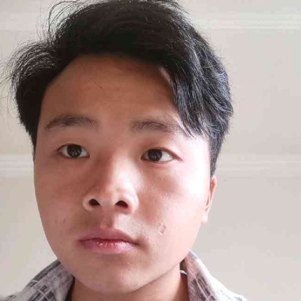 海燕停止任性的照片