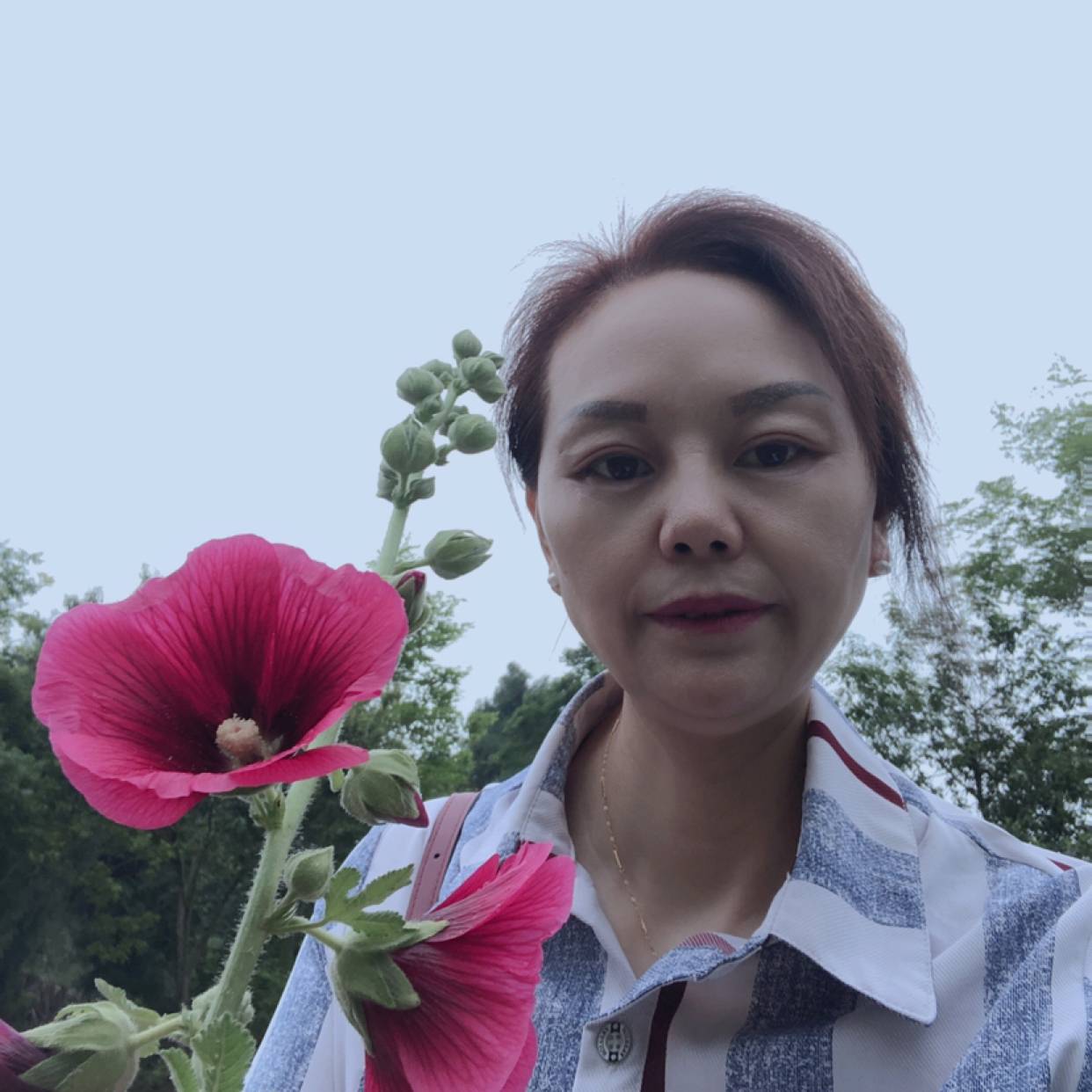 草莓回首迷离的照片