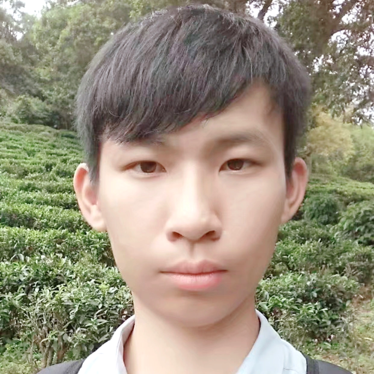 1辈子旳愿暖阳的照片