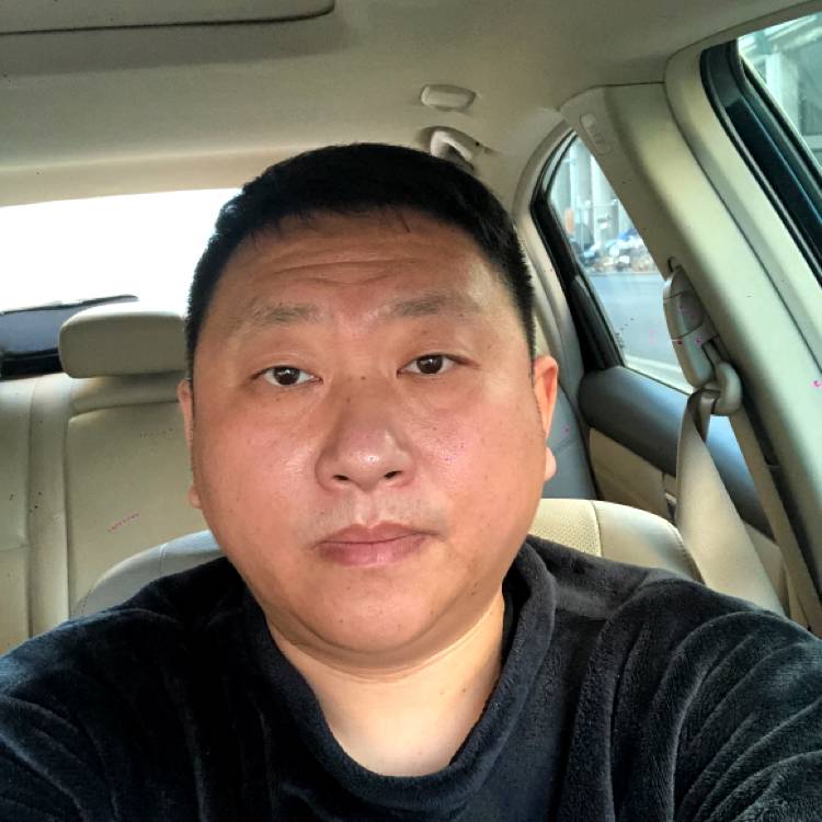 大脸猫大胖的照片