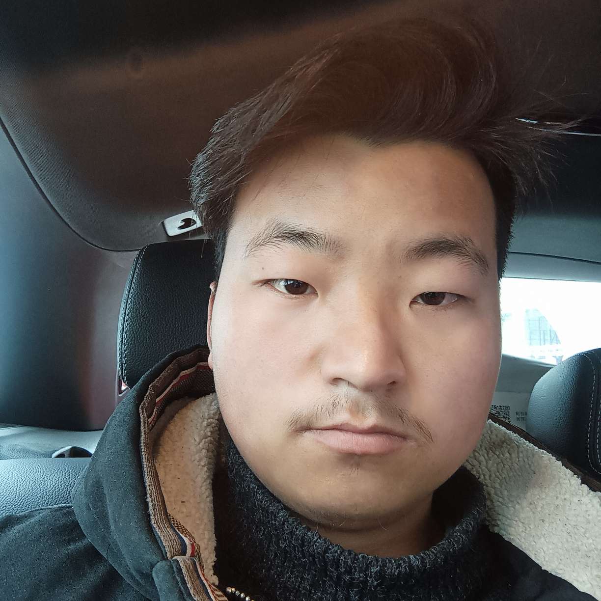 阳光等于小兔子的照片
