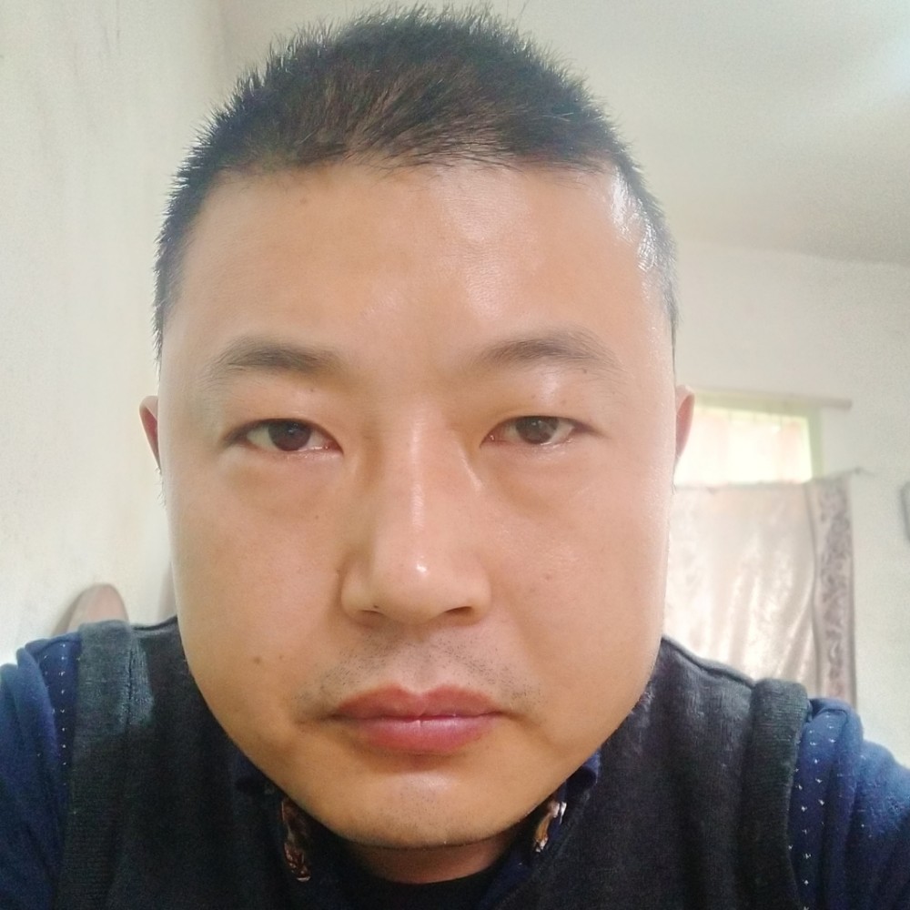黄蜂还繁荣的照片