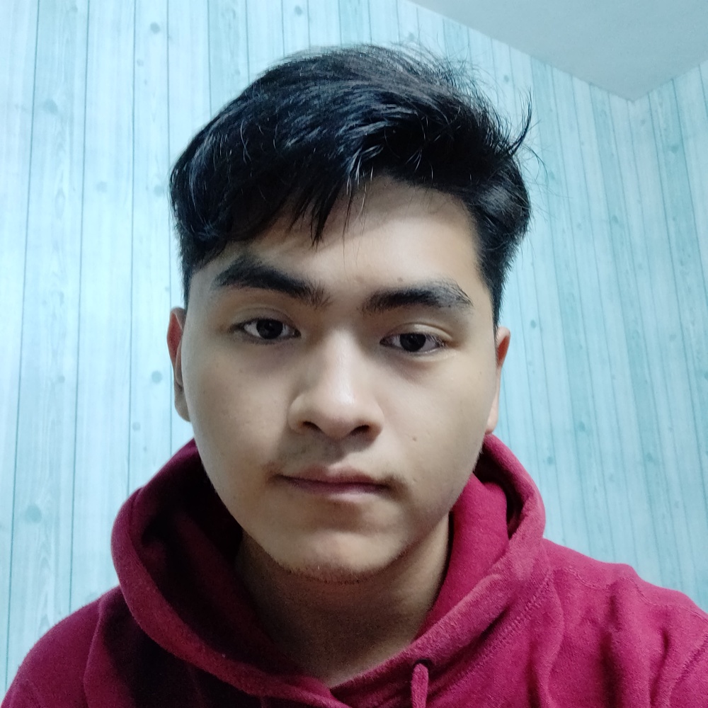 就上来看看的照片