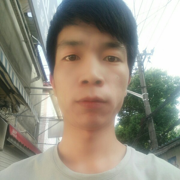唯一的过客的照片