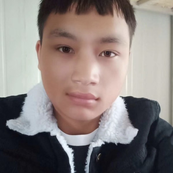 龙猫奋斗的照片