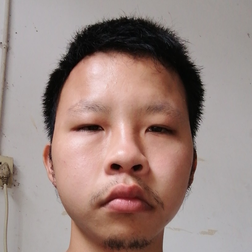 寒风的明媚的照片