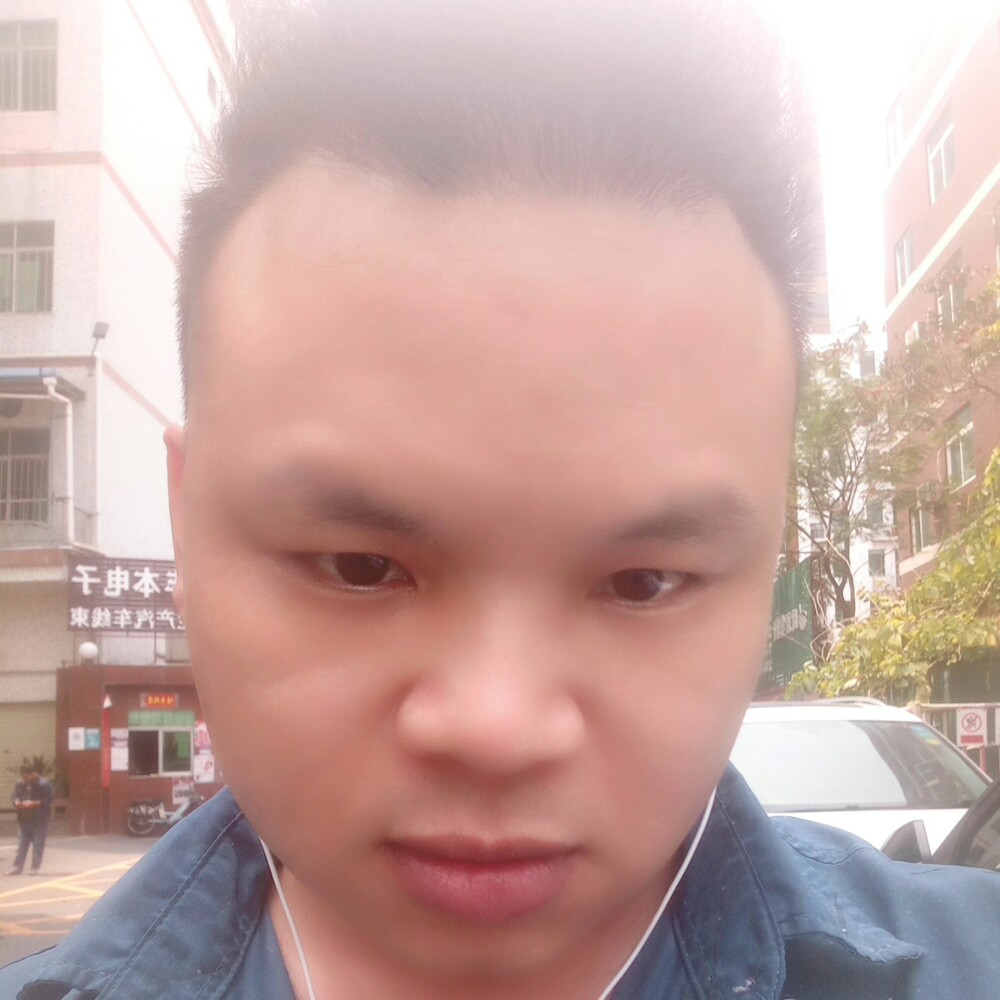 清风里的一粒埃尘的照片
