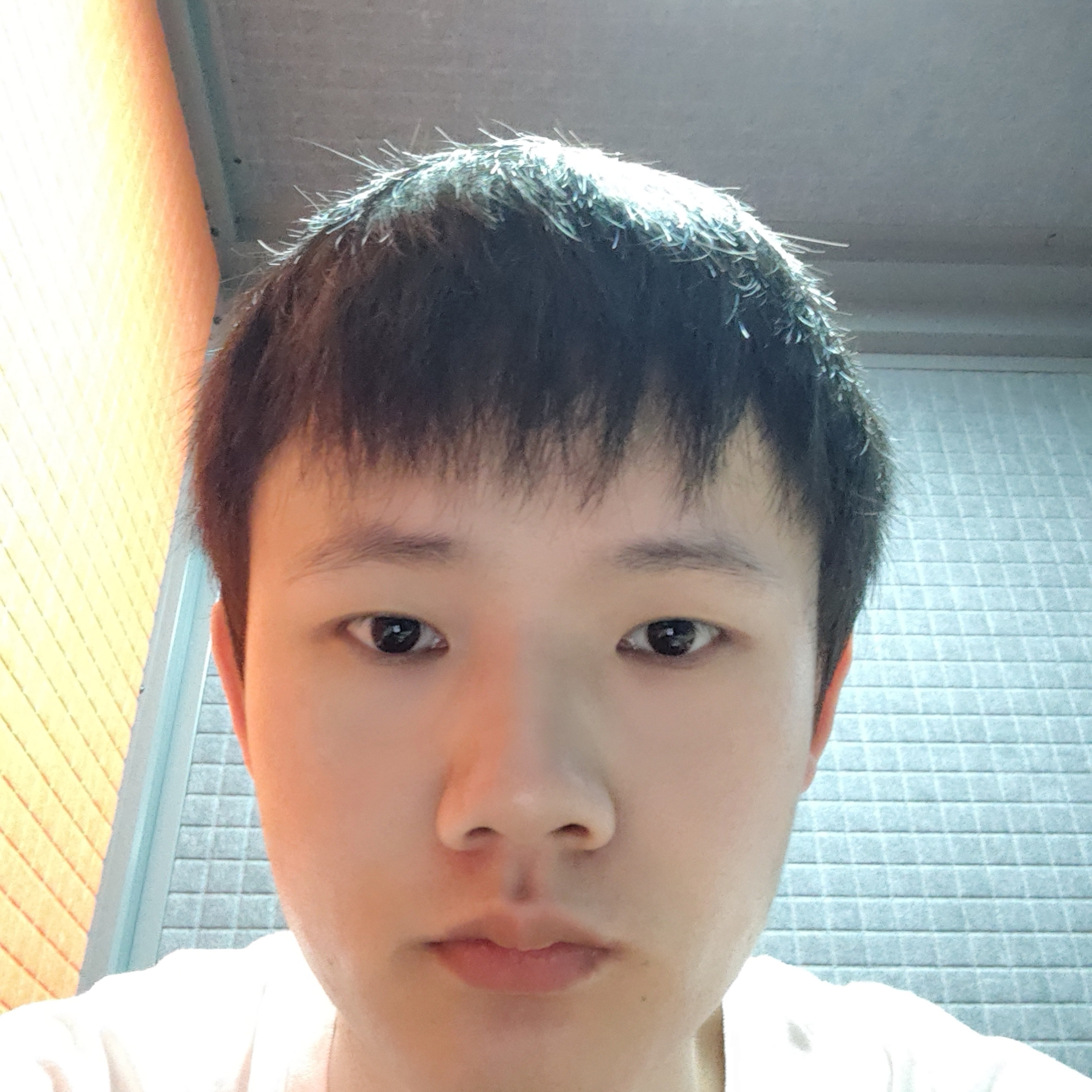 简简单单的照片
