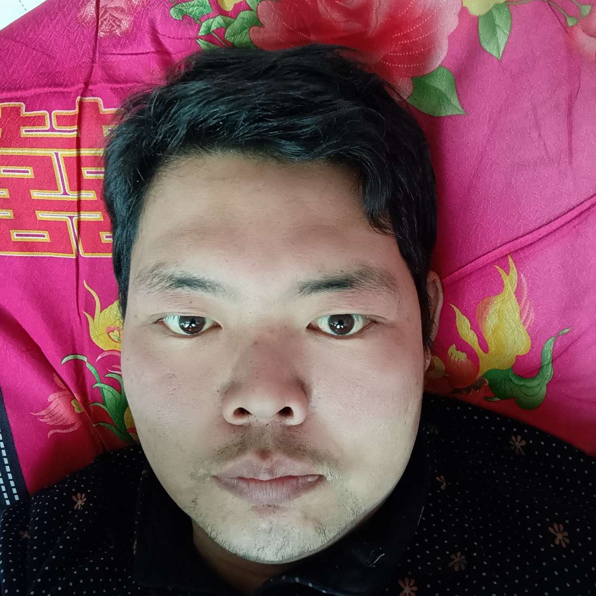 活力等于大神的照片