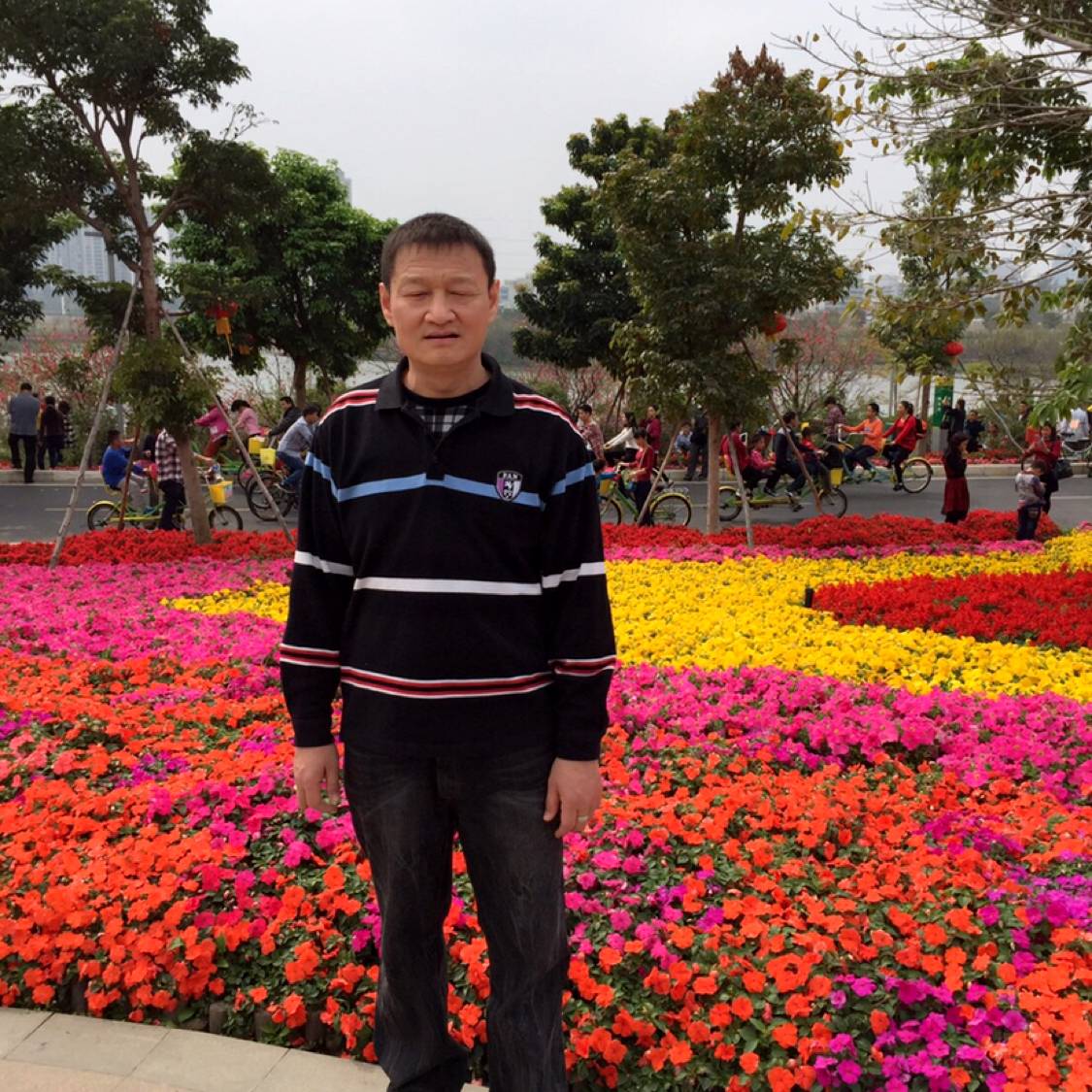 迅速夏露？的照片