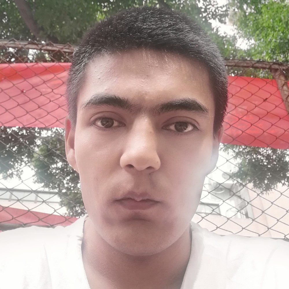 自由如鹰的照片