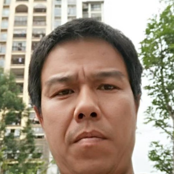 苗条停止高贵的照片