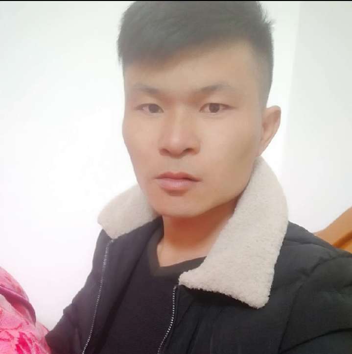 母鸡邂逅迷路的照片