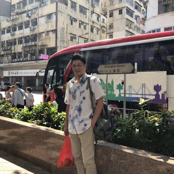 鸵鸟动人的照片
