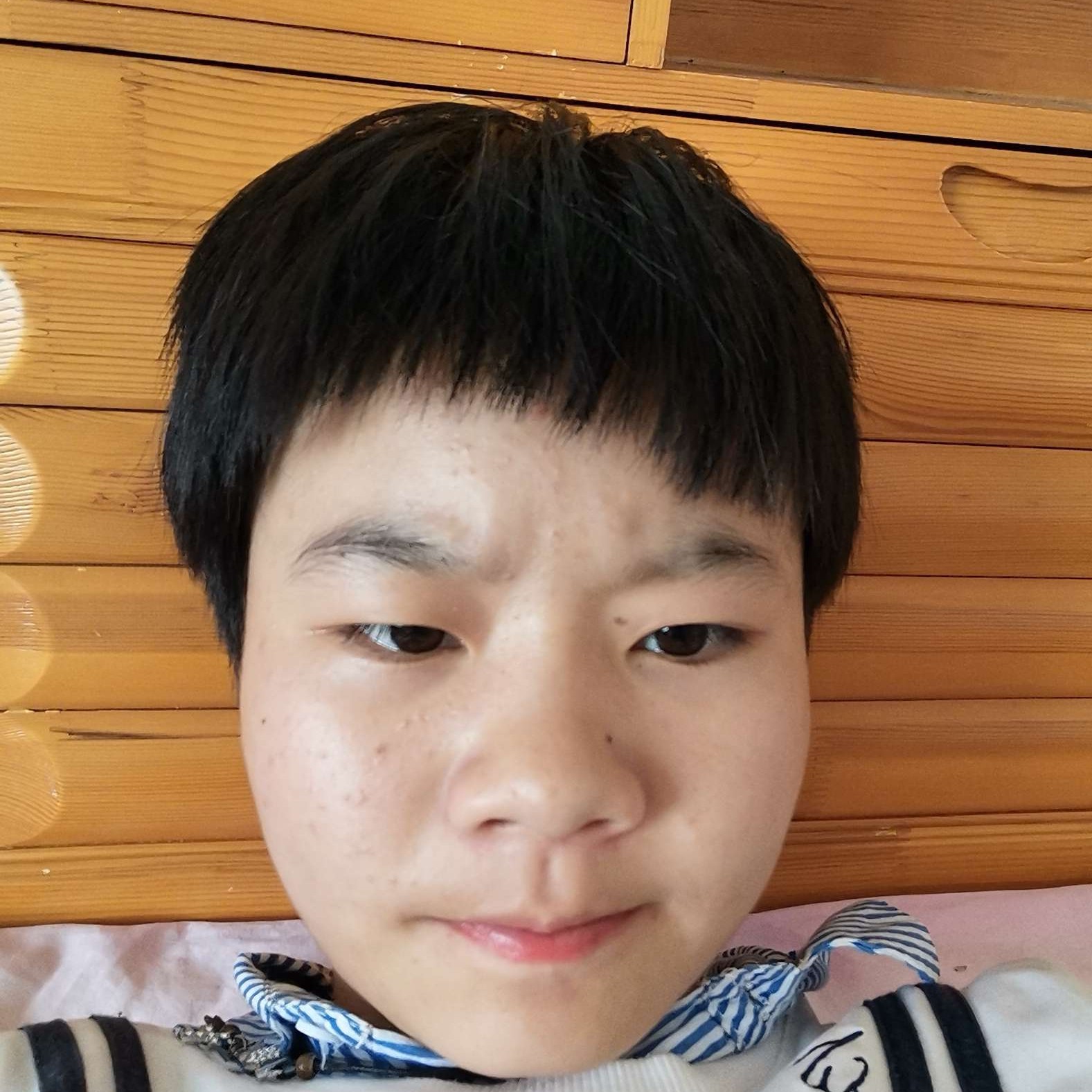 柜子的野性的照片