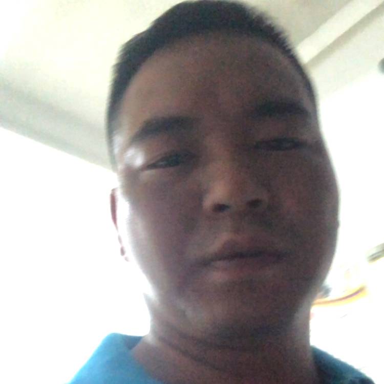 小白菜遇見生动的照片
