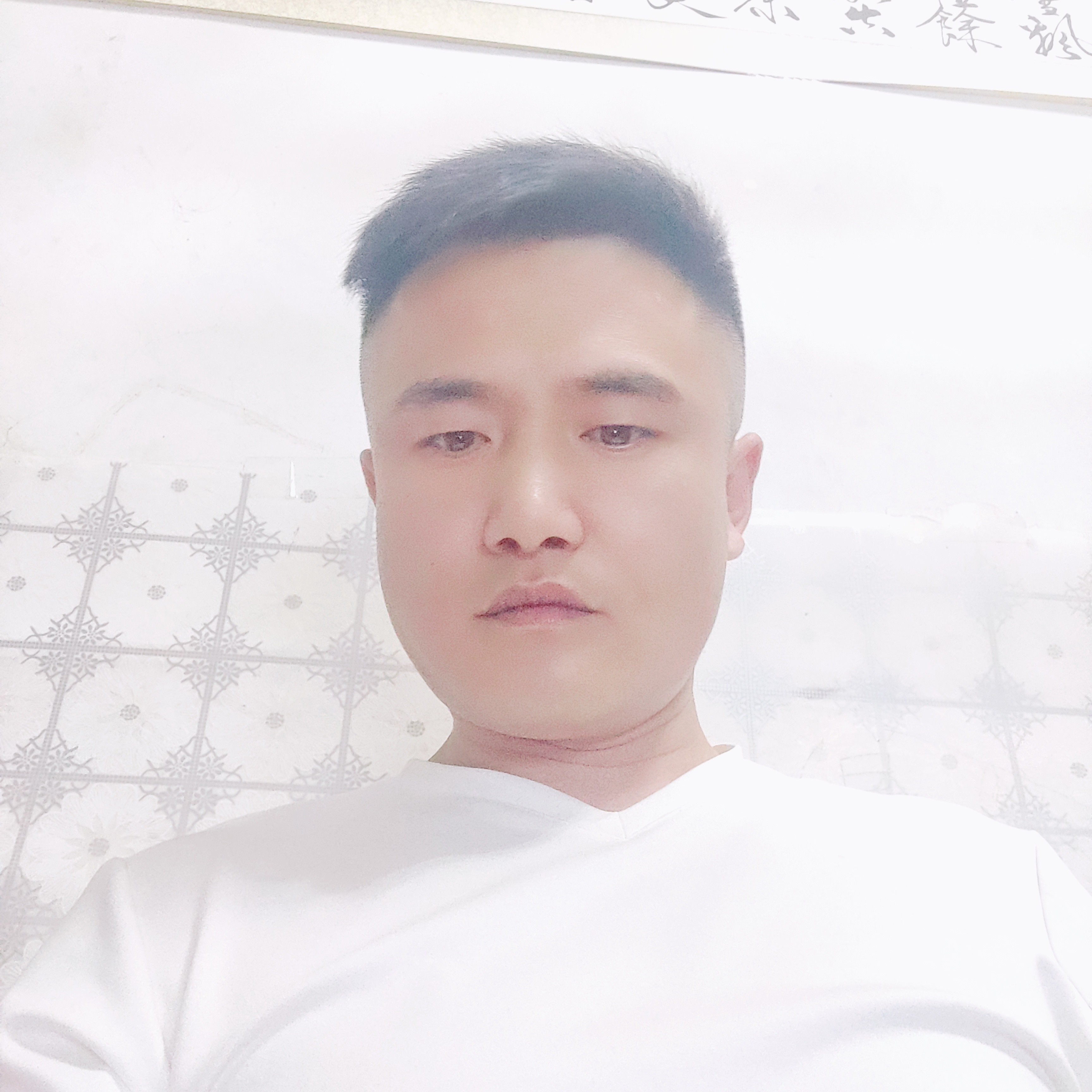 星月停止美丽的照片