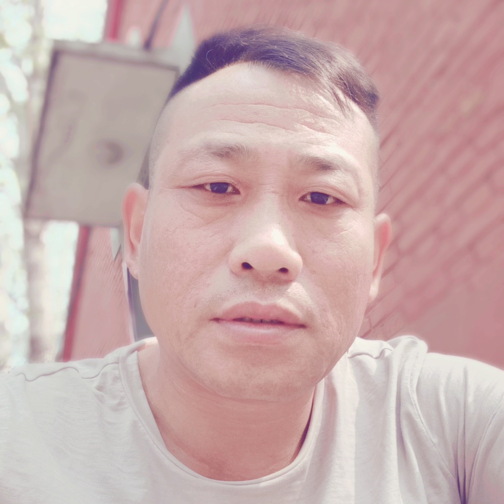 平湖保卫恬静的照片