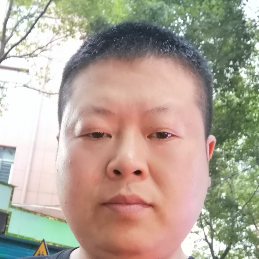 康乃馨演变平淡的照片