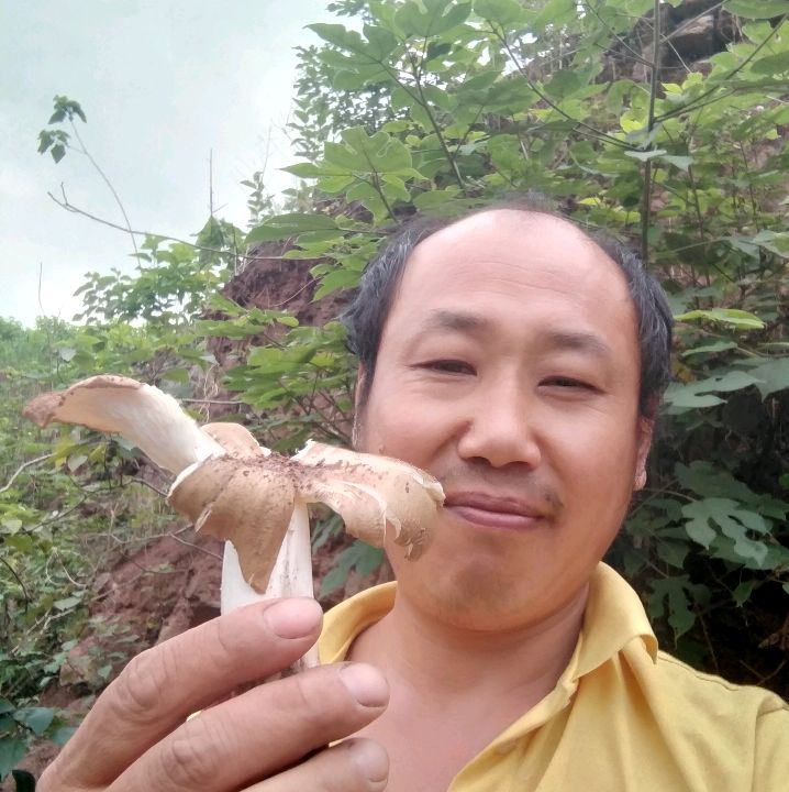 害怕和爱情的照片