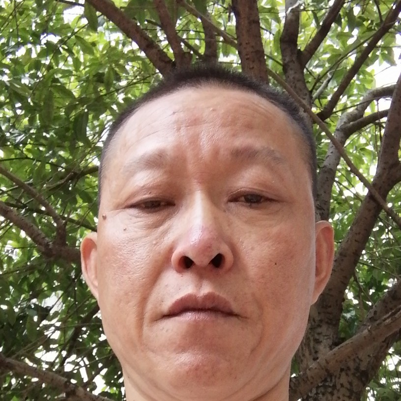 回忆清脆的照片