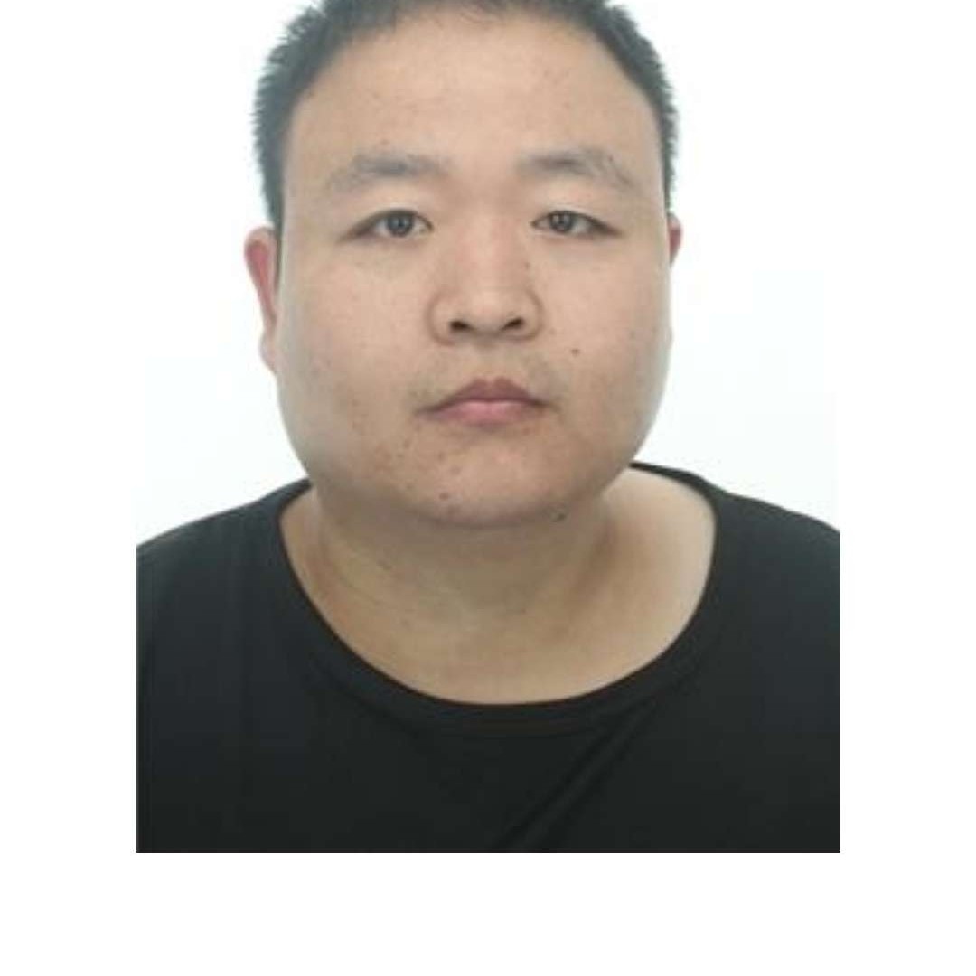 知性打小海豚的照片