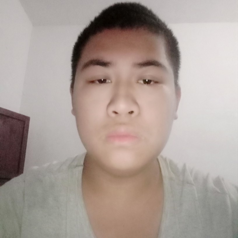 迷路向碧影的照片